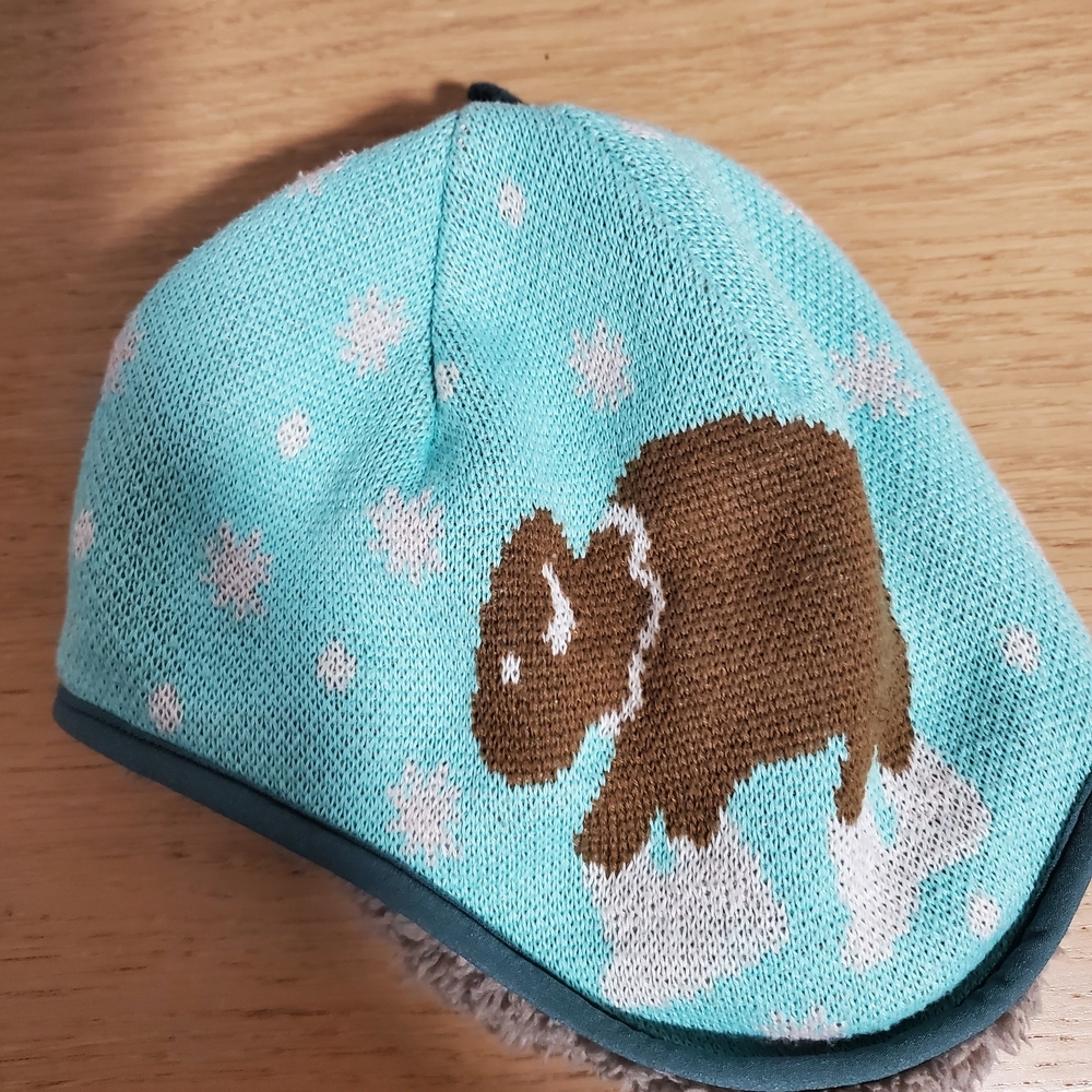 Patagonia Cute Buffalo Reversible 2025 Baby Beanie